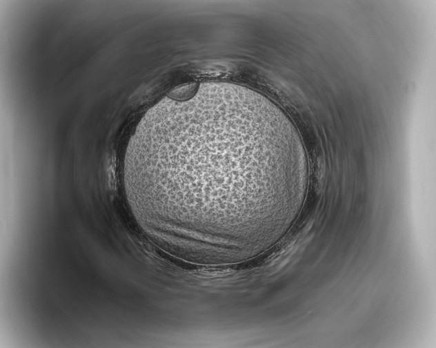 X0000096961394200802221333