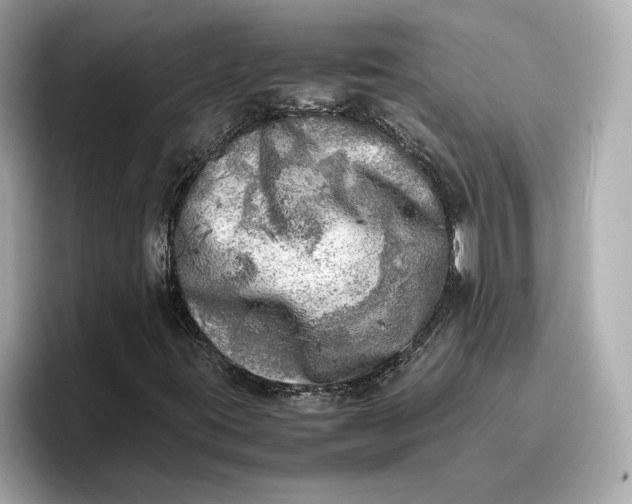 X0000096961395200802221333