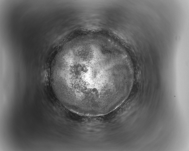 X0000096961397200802221333