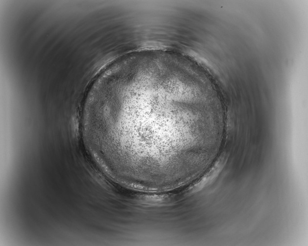 X0000096961401200802221333