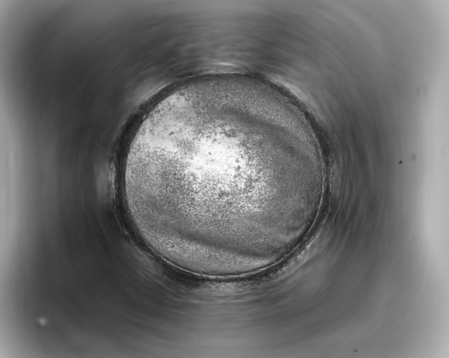 X0000096961402200802221333