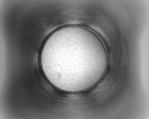 X0000096961404200802221333