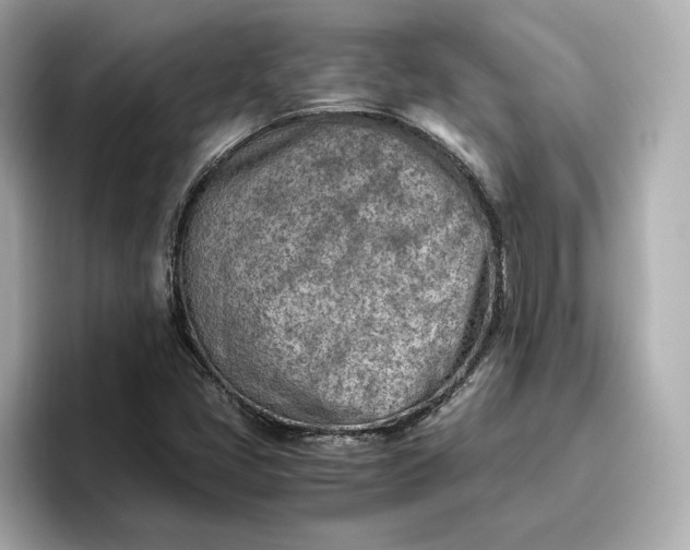 X0000096961405200802221333