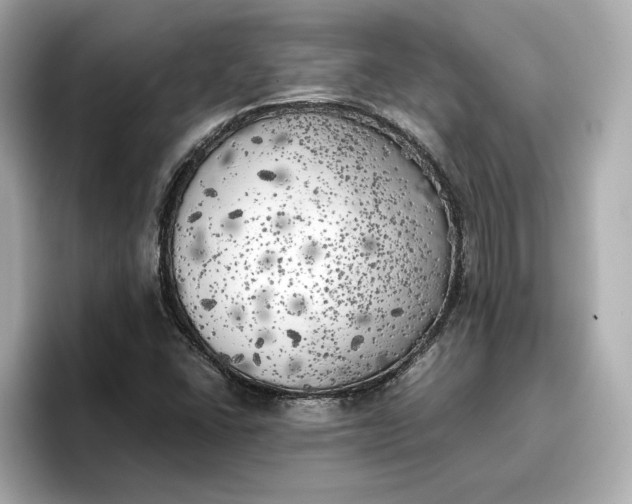 X0000096961406200802221333