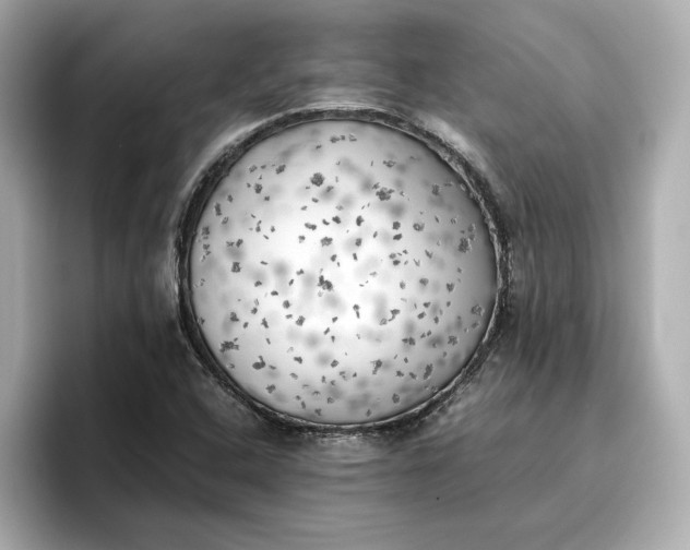 X0000096961408200802221333