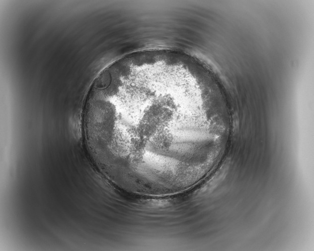 X0000096961409200802221333