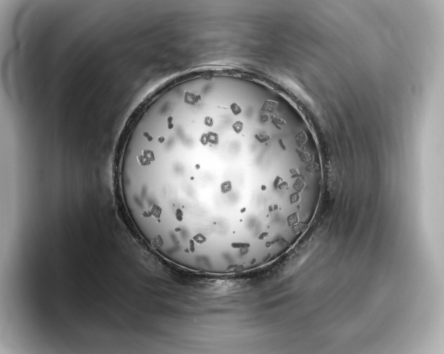 X0000096961412200802221333