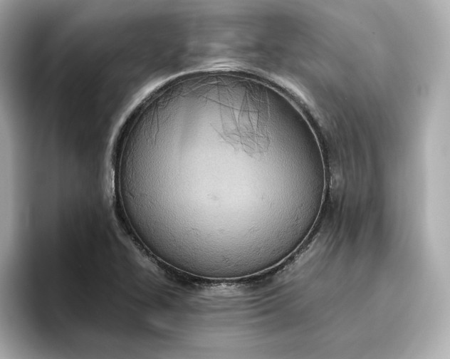 X0000096961414200802221333