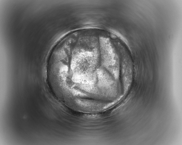 X0000096961415200802221333