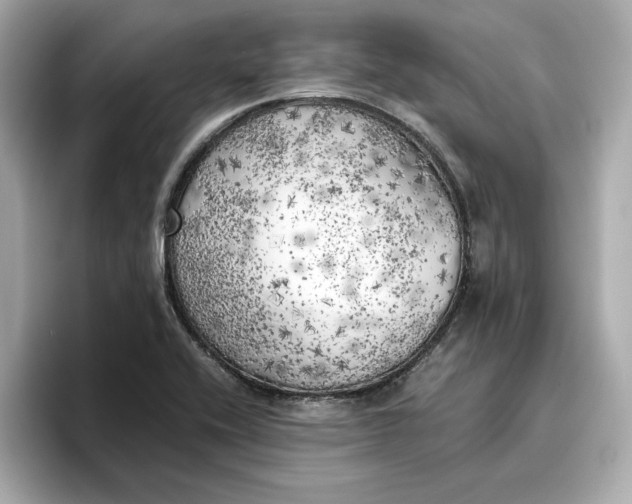 X0000096961416200802221333