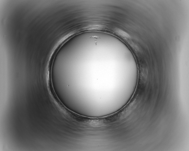 X0000096961418200802221333