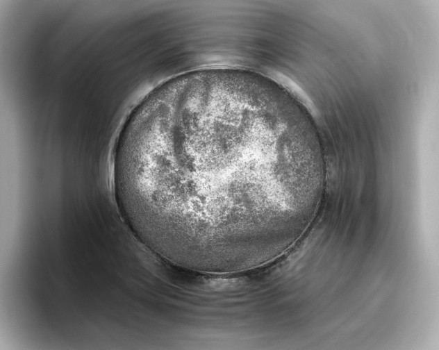 X0000096961419200802221333