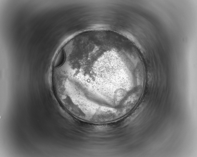 X0000096961421200802221333