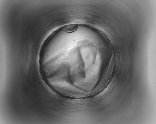 X0000096961422200802221333