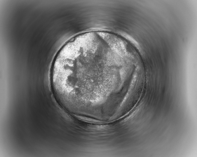 X0000096961423200802221333