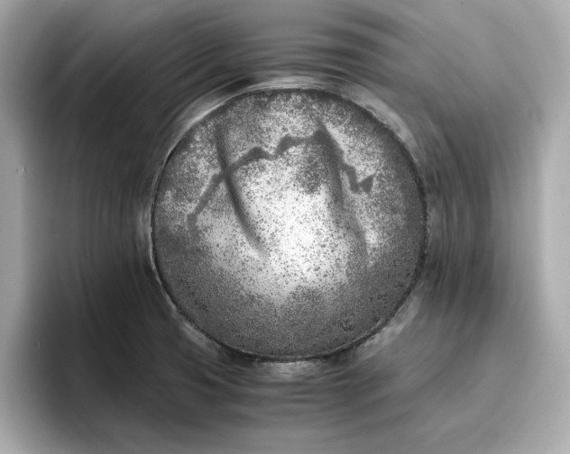 X0000096961425200802221333