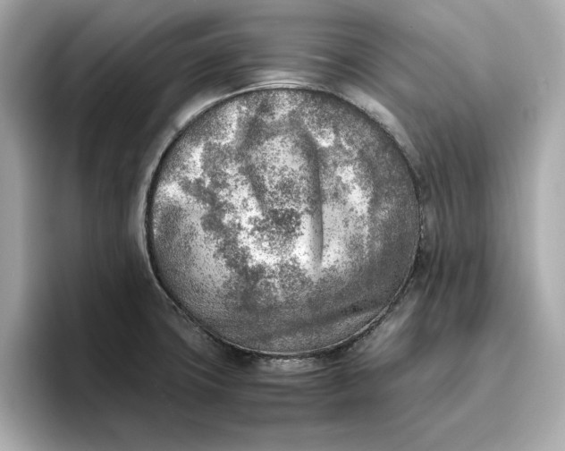 X0000096961427200802221333