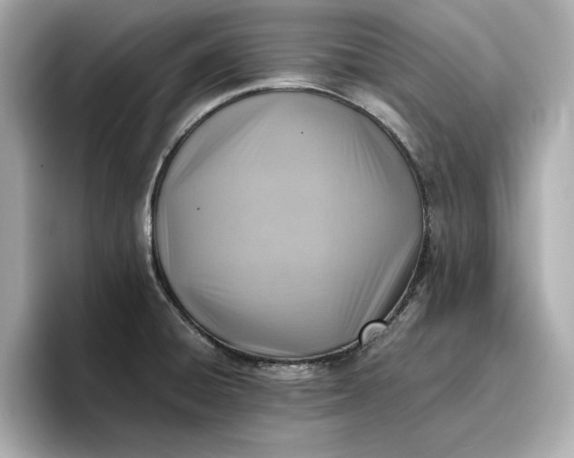 X0000096961428200802221333