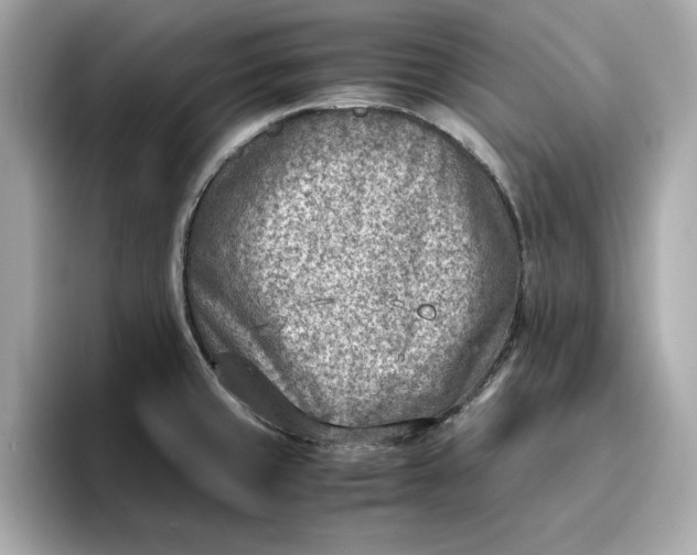 X0000096961429200802221333