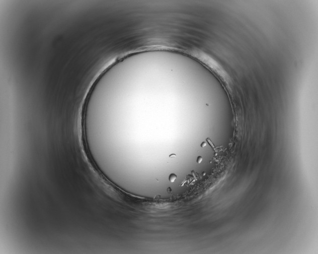 X0000096961431200802221333