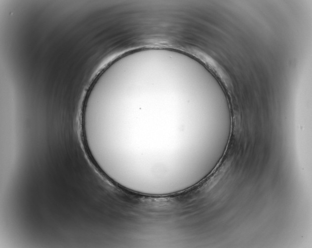 X0000096961432200802221333