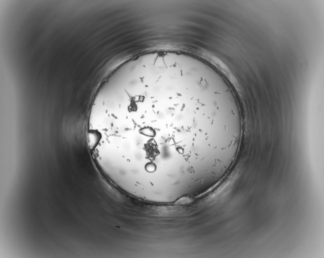 X0000096961433200802221333