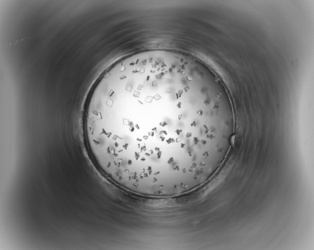 X0000096961434200802221333