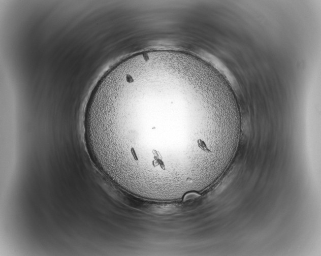 X0000096961435200802221333