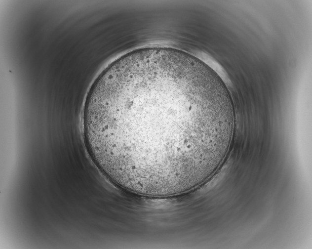 X0000096961436200802221333