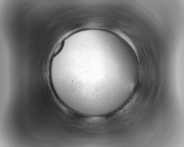 X0000096961437200802221333