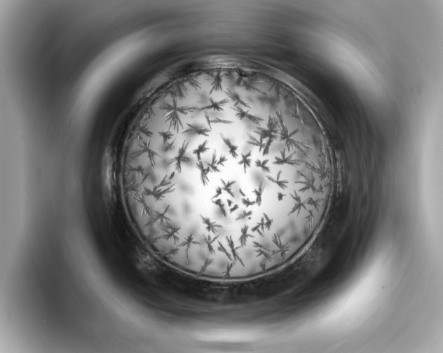 X0000096961438200802221333