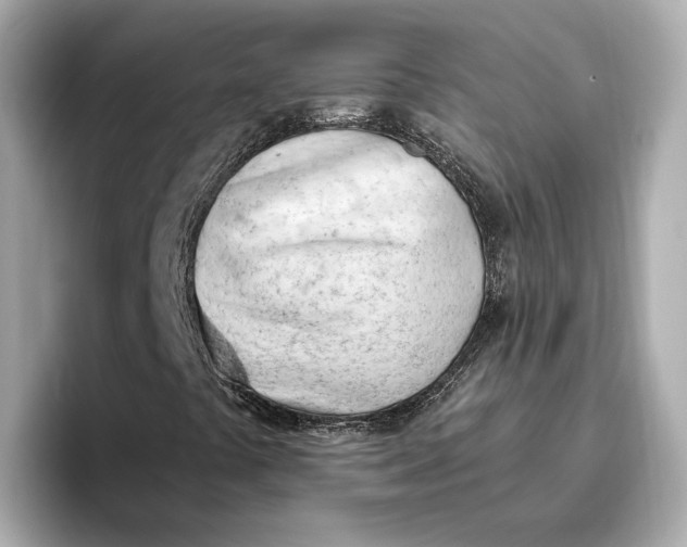 X0000096961441200802221333