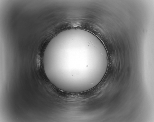 X0000096961442200802221333