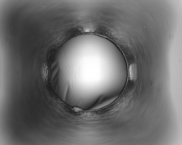 X0000096961443200802221333