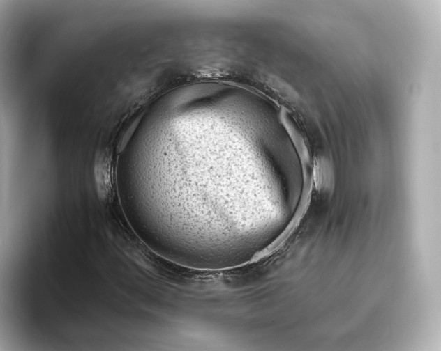 X0000096961444200802221333