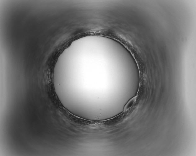 X0000096961447200802221333