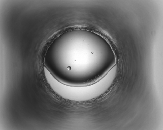 X0000096961448200802221333