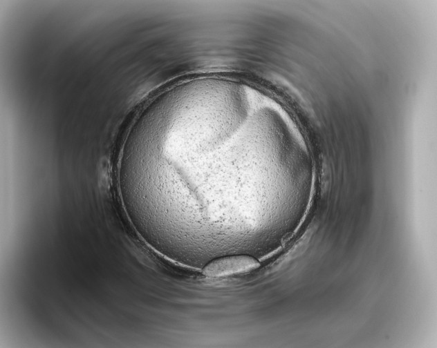 X0000096961449200802221333