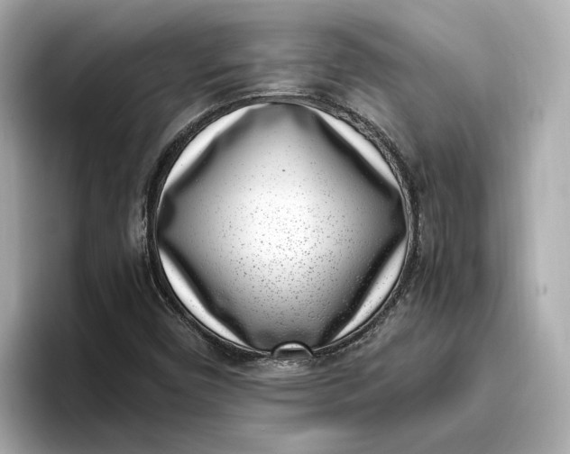 X0000096961450200802221333