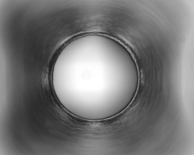 X0000096961452200802221332