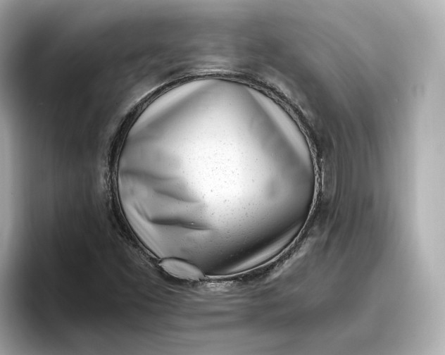 X0000096961453200802221332