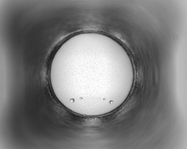 X0000096961454200802221332