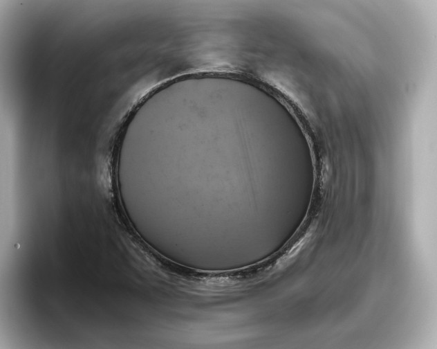 X0000096961455200802221332