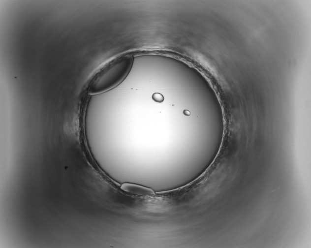 X0000096961456200802221332