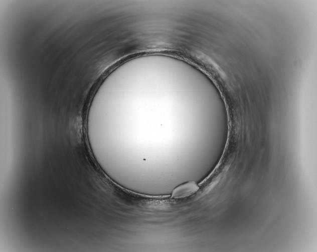 X0000096961457200802221332