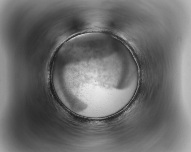 X0000096961459200802221332