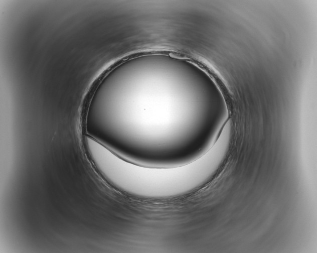 X0000096961460200802221332