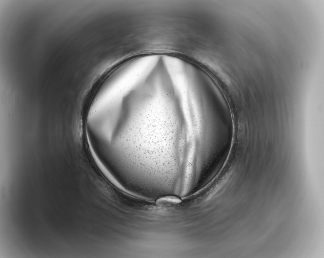 X0000096961461200802221332