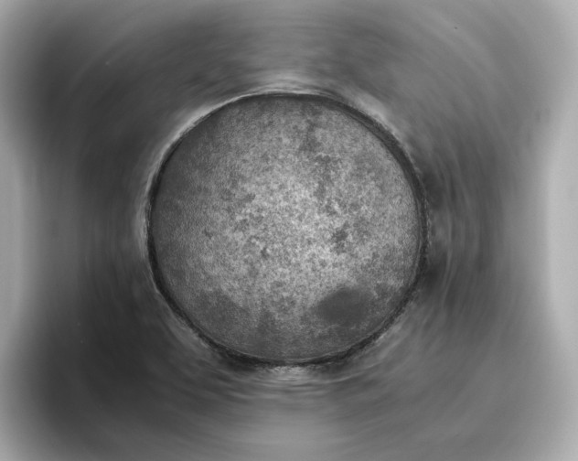 X0000096961463200802221332