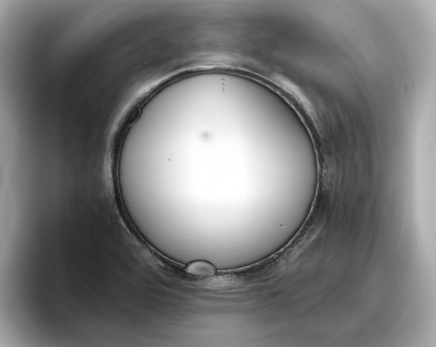 X0000096961464200802221332